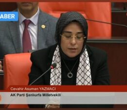 YAZMACI, RAKAM VEREREK AÇIKLADI