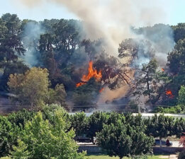 Şanlıurfa Jandarma Komutanlığı’ndan Orman Yangınlarına Karşı Uyarı
