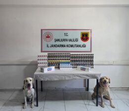 Şanlıurfa’da Kaçak Sigara Operasyonu!