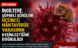 HANTAVİRÜS NEDİR?