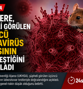 HANTAVİRÜS NEDİR?