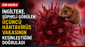 HANTAVİRÜS NEDİR?