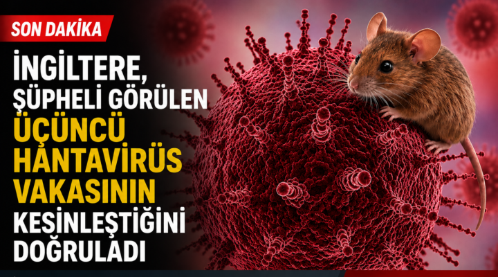 HANTAVİRÜS NEDİR?