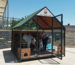 ŞANLIURFA’NIN 11 FARKLI NOKTASINA 12 KEDİ EVİ KURULDU